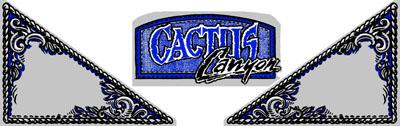 CACTUS CANYON Pinball Machine Target Decals 